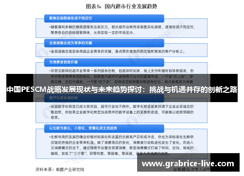 中国PESCM战略发展现状与未来趋势探讨：挑战与机遇并存的创新之路